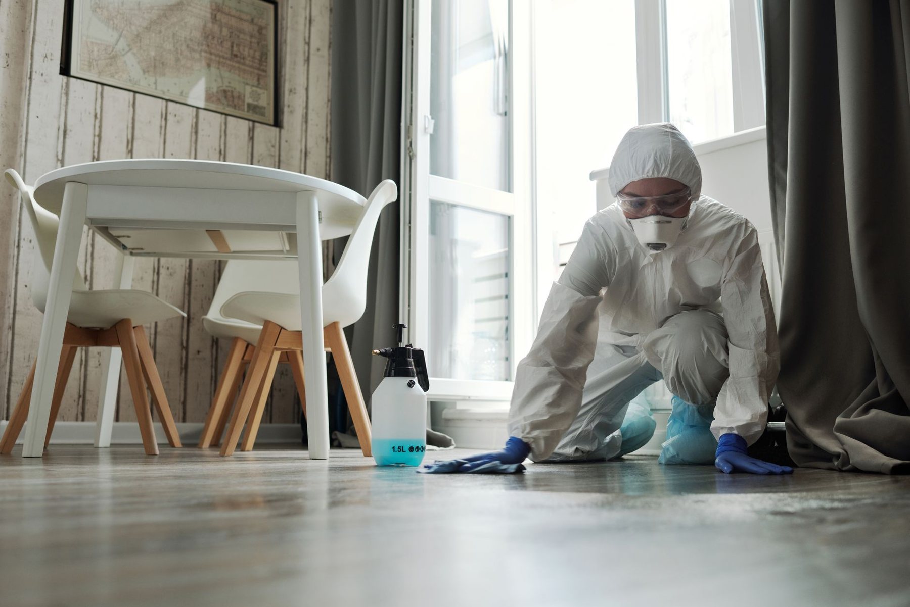 General Pest Control in Buckeye AZ